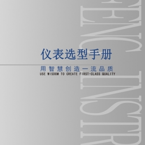 亚峰仪表浮筒液位计样本