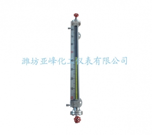 新疆抽真空磁翻板液位计（带保温)