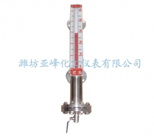 新疆磁翻板液位计（低密度型）