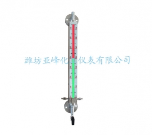 新疆哈氏合金石英管液位计(带保温）