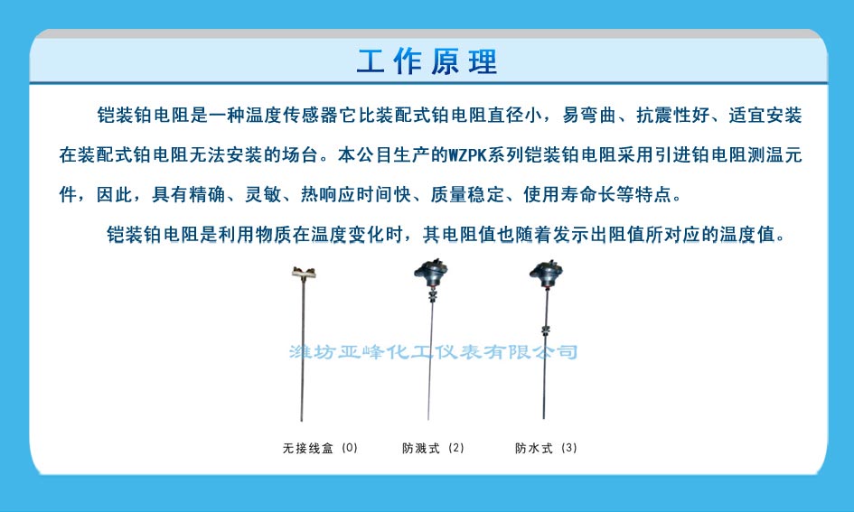 铠装铂电阻